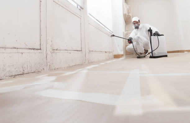 24/7 Emergency Commercial Mold Remediation experts in Keller, TX