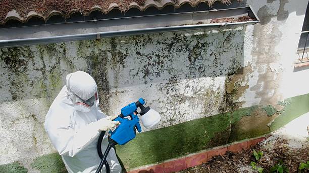 Trusted Commercial Mold Remediation service in Keller, TX - Cheap Mold Removal